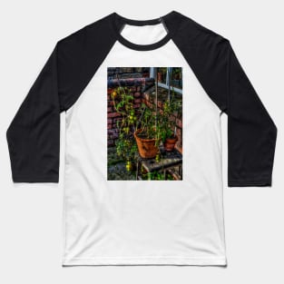 Tomatoes Baseball T-Shirt